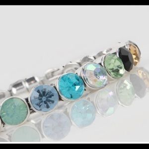 PlunderDesign multi color rhinestones with silver magnetic closure